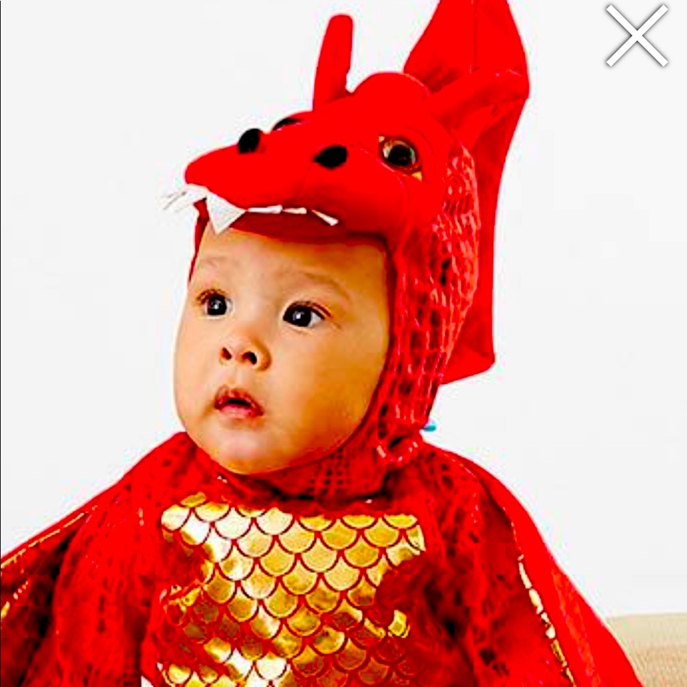 Pottery Barn dragon costume. 18-24 months